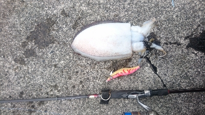 やっと今年一杯目