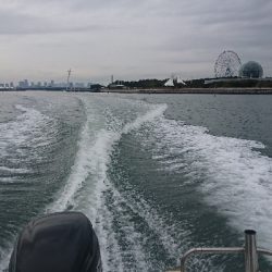 ボートシーバス！