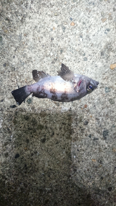 活性が悪いのか！