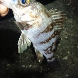 ストラクチャー