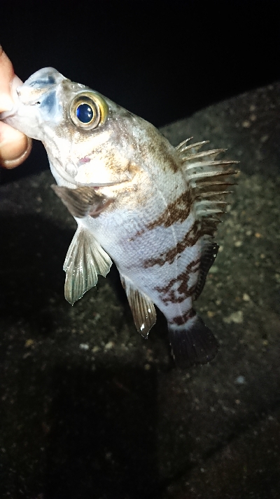 ストラクチャー