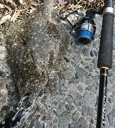 春野漁港周辺サーフ、ショアジギンク