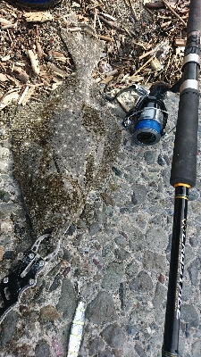 春野漁港周辺サーフ、ショアジギンク