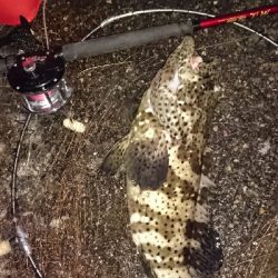 2020年クエ釣り(港)