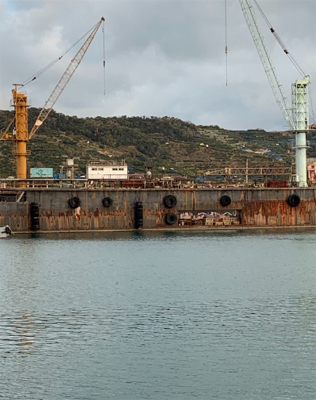 初釣り アジ狙いが
