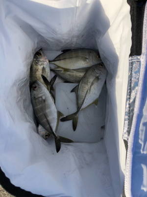 丹生川かこうにてさ