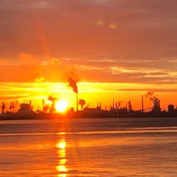 元日　釣りバカショアジギング