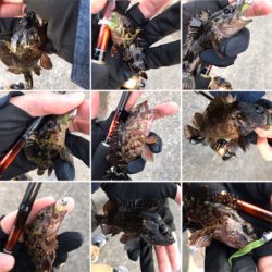 初釣り、そして入魂