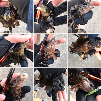 初釣り、そして入魂