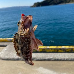 初釣り