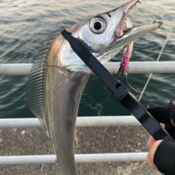 新年2日目、何とか形に