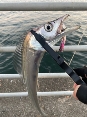 新年2日目、何とか形に