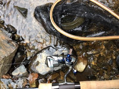 ネイティブトラウト