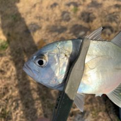 紀ノ川→食品コンビナート
