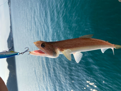 今年2回目の釣り