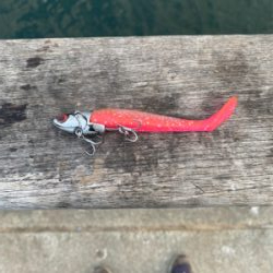 正月3日目、何とか1本