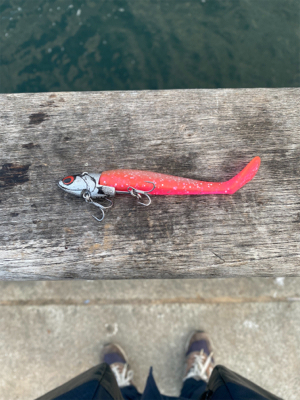 正月3日目、何とか1本