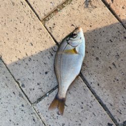 狩留家海浜公園