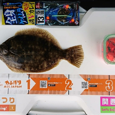 令和 2年  初釣り