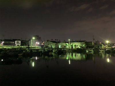 タケノコメバル①