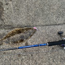 2020初フィッシュ