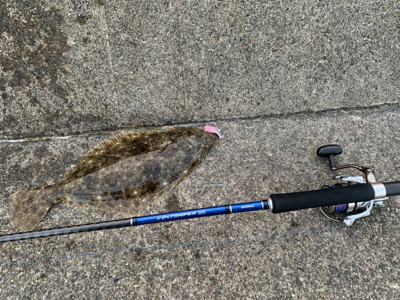 2020初フィッシュ