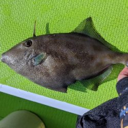 タイラバ ･ 船釣り初め