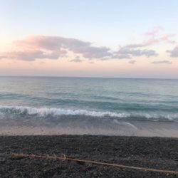 今回もナブラ攻略できず