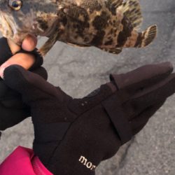 2020初フィッシュ❗️