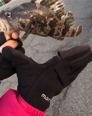 2020初フィッシュ❗️