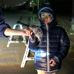 夕方底物うようよ