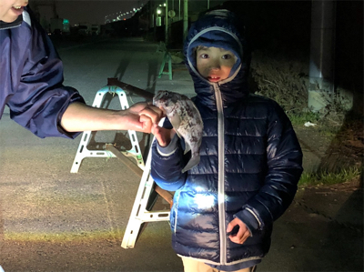 夕方底物うようよ