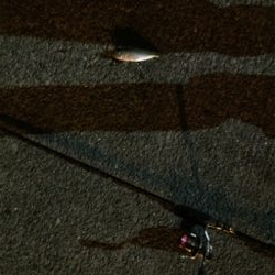 旅行帰りに少しだけ‼︎