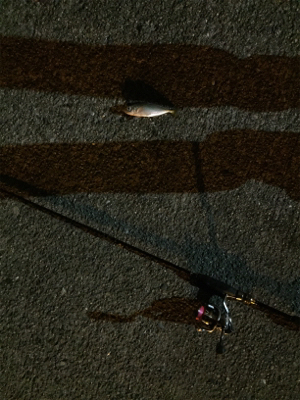 旅行帰りに少しだけ‼︎