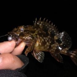 1時間だけライトゲーム