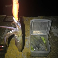 ポツリ…ポツリ…で何とかヒイカ12杯σ(^_^;)