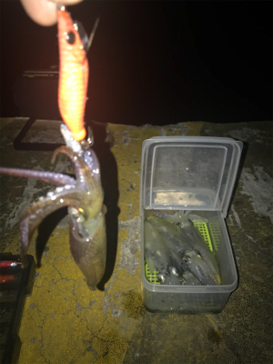 ポツリ…ポツリ…で何とかヒイカ12杯σ(^_^;)