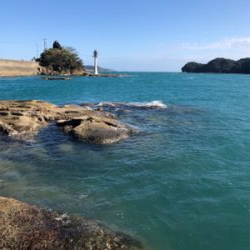 爆風のオオモンハタ