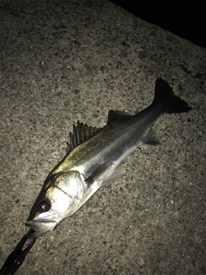 2020初フィッシュ！