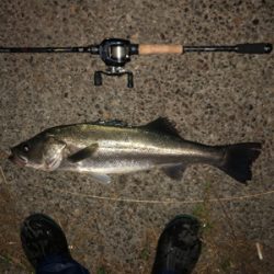 ジョイクロ不発