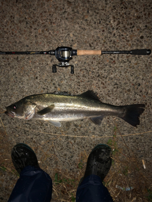 ジョイクロ不発