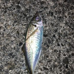 当たりはあるけど