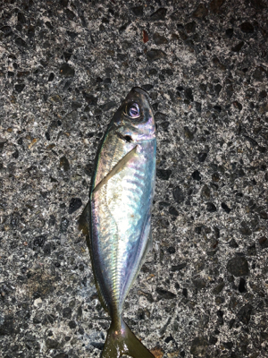 当たりはあるけど