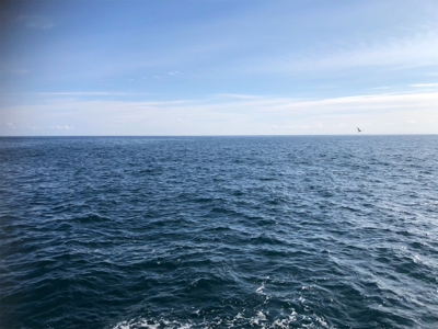 まとまたフカセリベンジ…