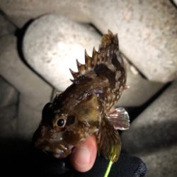 久しぶりにお魚さんに会いたくて！