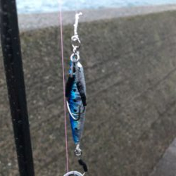 雨の中ライトショアジギング!