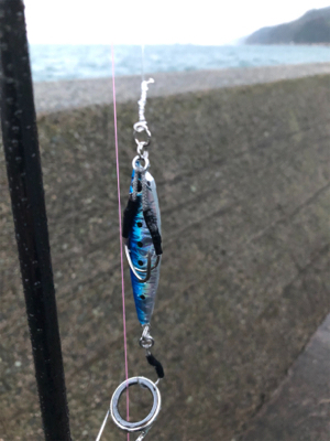 雨の中ライトショアジギング!