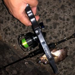 食コンアジング