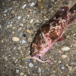 フロートのみに反応