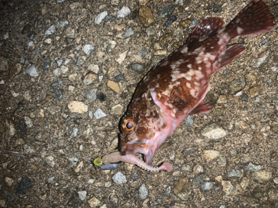 フロートのみに反応